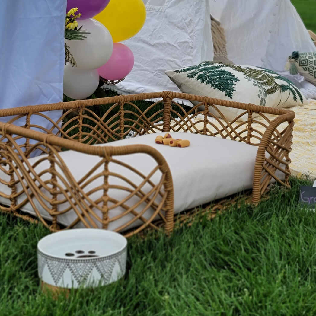 Foothills Picnics offers Fort Collins luxury picnics for dates, birthdays, engagements, anniversaries, and everything in-between. Perfect for couples, friends, and groups.