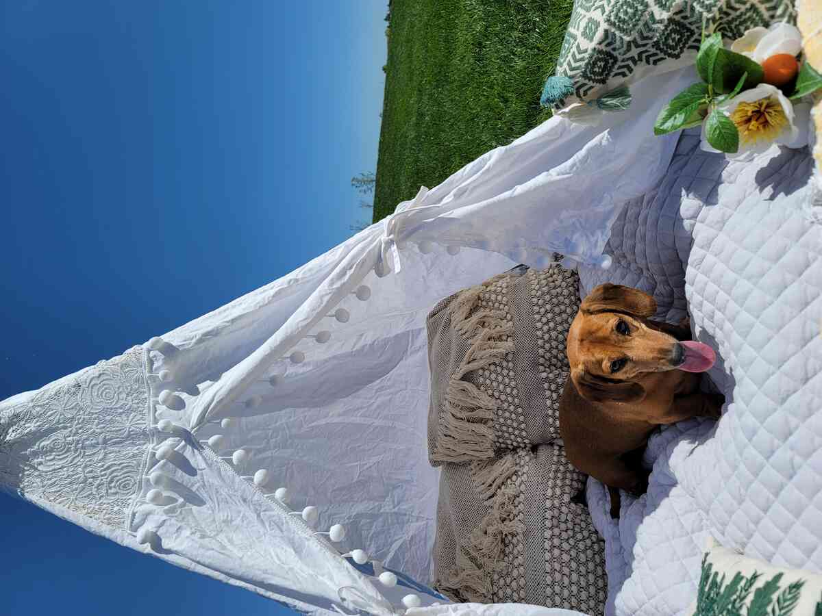 Foothills Picnics offers Fort Collins luxury picnics for dates, birthdays, engagements, anniversaries, and everything in-between. Perfect for couples, friends, and groups.