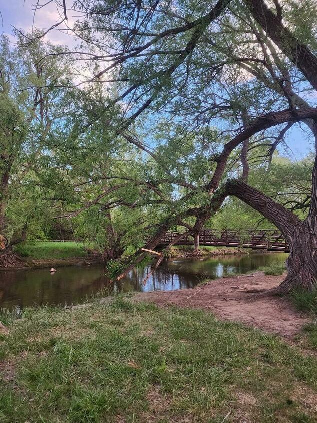 Foothills Picnics offers Fort Collins luxury picnics for dates, birthdays, engagements, anniversaries, and everything in-between. Perfect for couples, friends, and groups.